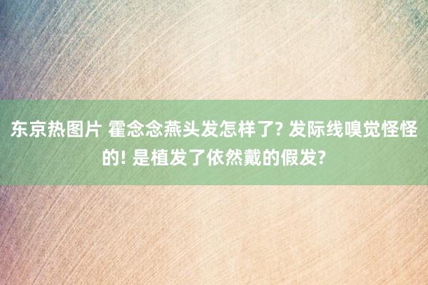 东京热图片 霍念念燕头发怎样了? 发际线嗅觉怪怪的! 是植发了依然戴的假发?