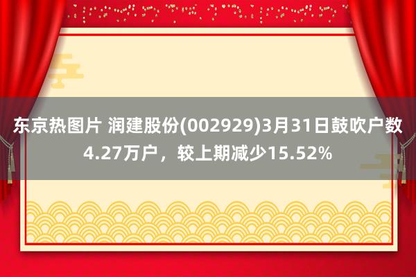 东京热图片 润建股份(002929)3月31日鼓吹户数4.27万户，较上期减少15.52%