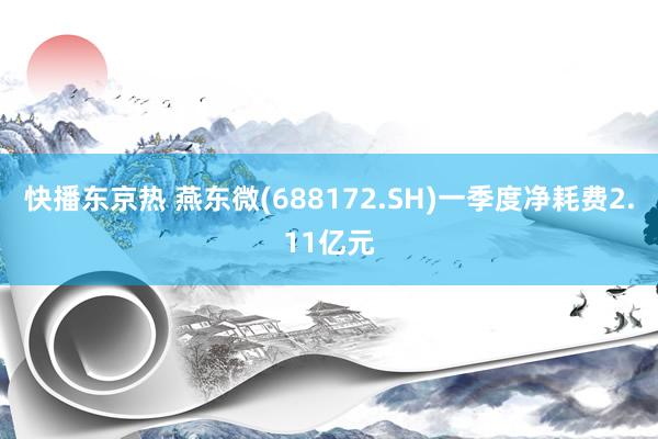快播东京热 燕东微(688172.SH)一季度净耗费2.11亿元